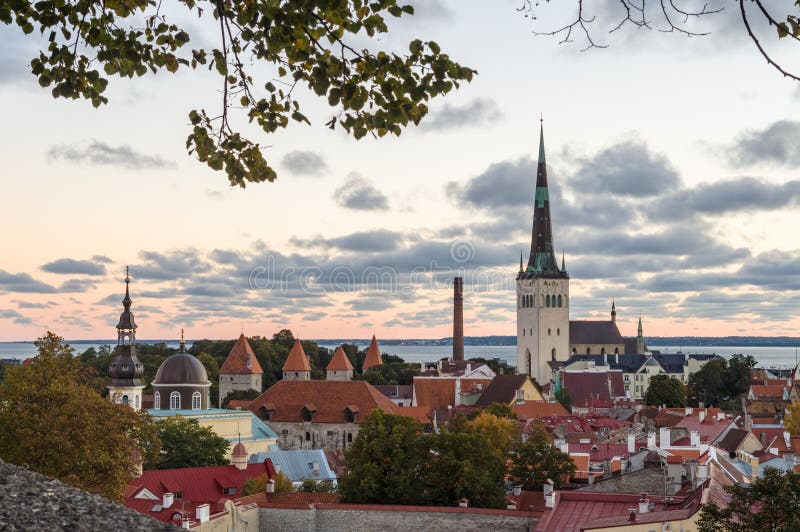 Autumnal morning view of old town Tallinn, Estonia. St. Olafs Church and medieval towers