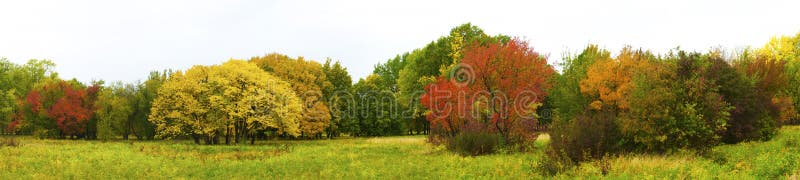 Autumnal park