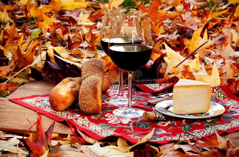 Road trip across Napa and Sonoma wine regions! The Baacco wine blog is out. Read