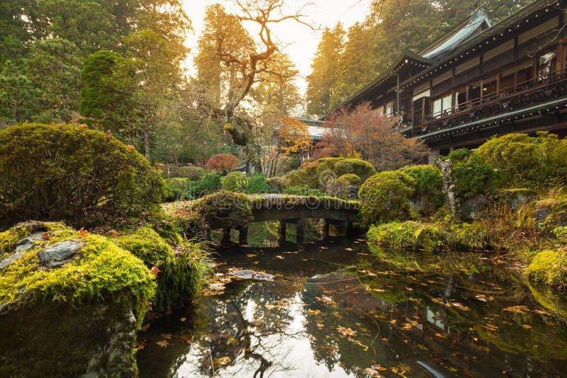 Autumnal pond in Nikko national park