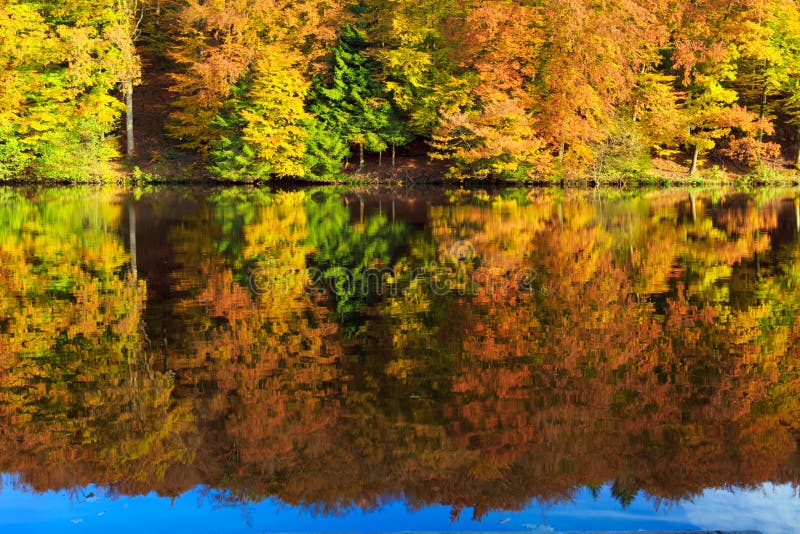 Autumnal Trees Reflection In The Lake Water Stock Image Image Of