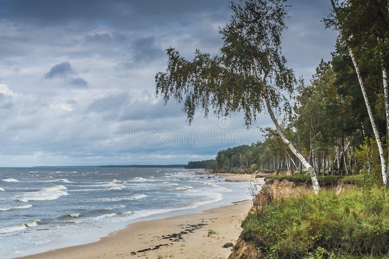 Autumnal view at the Baltic beach , Vidzeme, Latvia