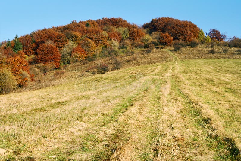 Autumnal view of strazov mount in strazovske vrchy