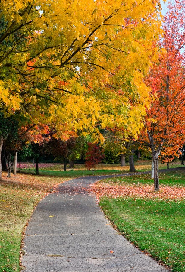 Autunno immagini stock