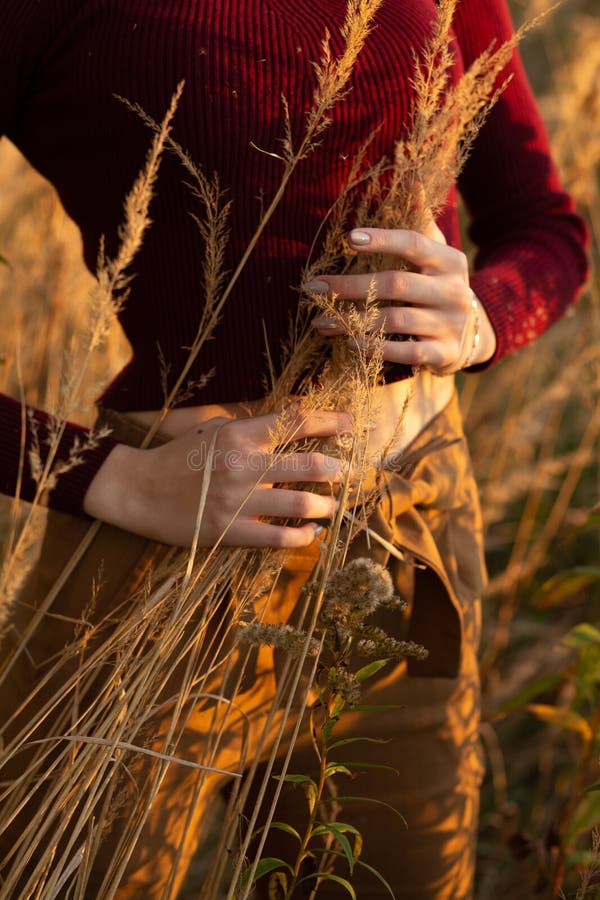 Autunno immagine stock libera da diritti Autunno immagine stock libera da diritti