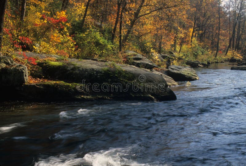 Autumn color along Gunpowder River, Gunpowder Falls State Park, MD. Autumn color along Gunpowder River, Gunpowder Falls State Park, MD