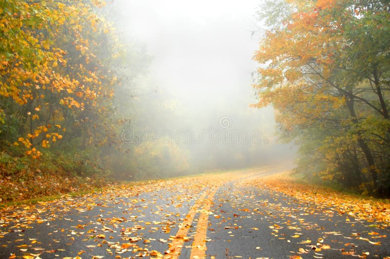 Autumn leaves cover road and fill roadside. Early morning fog adds surreal white to deserted highway. Autumn leaves cover road and fill roadside. Early morning fog adds surreal white to deserted highway.
