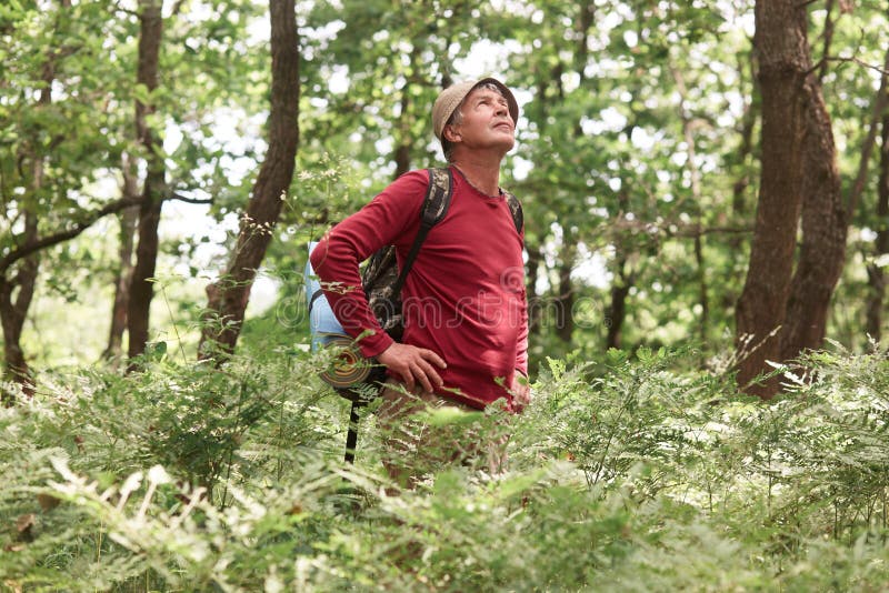 Außenaufnahme von eldery Mannreisen mit Rucksackabflussrinnenwald, Wanderer geht Straße entlang Holz, hat aktive Berufung herein stockfoto Außenaufnahme von eldery Mannreisen mit Rucksackabflussrinnenwald, Wanderer geht Straße entlang Holz, hat aktive Berufung herein stockfoto