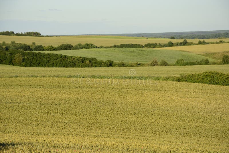 Außerhalb der Stadt - ländliche Landschaft - ein Feld lizenzfreie stockbilder Außerhalb der Stadt - ländliche Landschaft - ein Feld lizenzfreie stockbilder