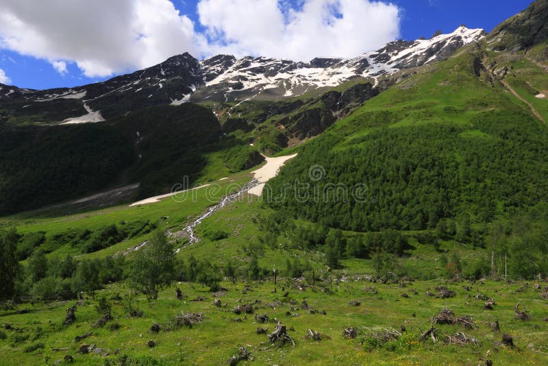 Deforest stock image. Image of destroy, recycle, reuse 19468993