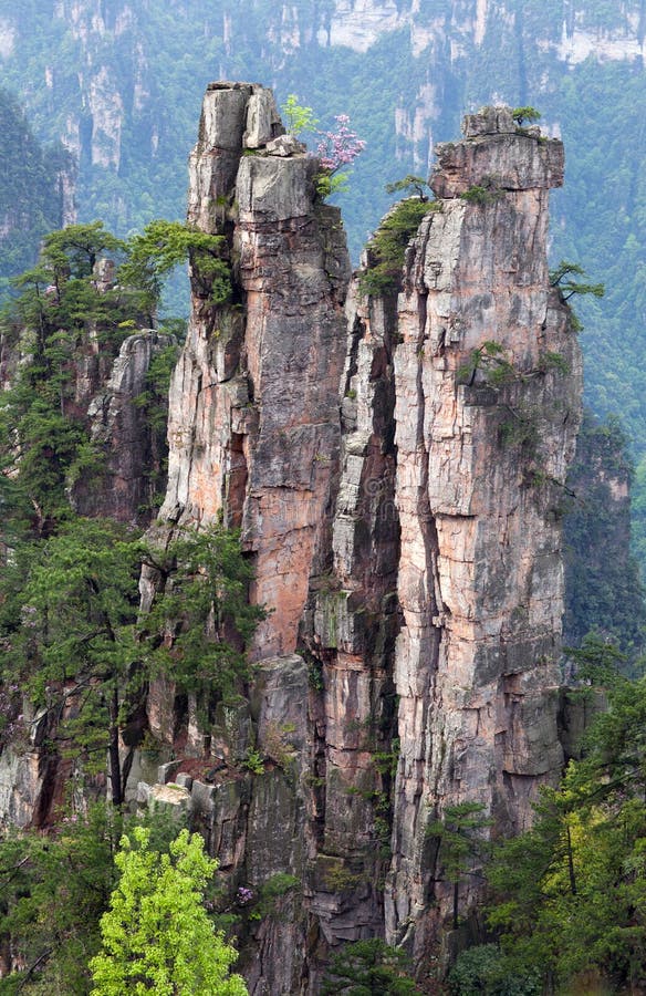 Avatar Drijvende Bergen in Zhangjiajie Nationaal Forest Park, China stock afbeelding Avatar Drijvende Bergen in Zhangjiajie Nationaal Forest Park, China stock afbeelding
