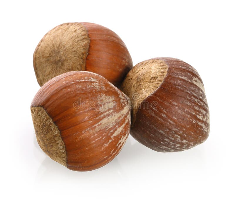 Avellanas De Las Nueces Del Bosque Imagen de archivo Imagen de nadie