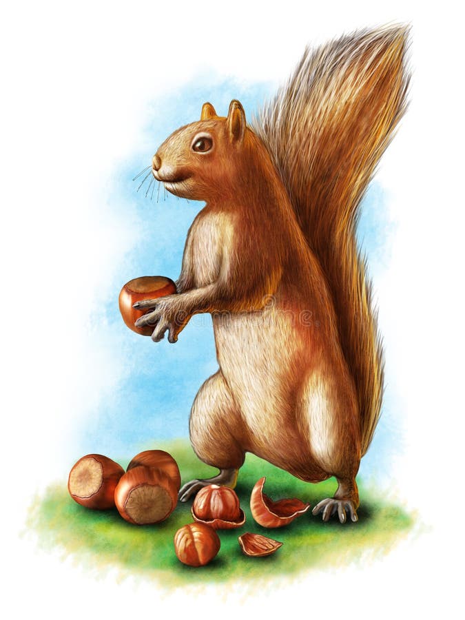 A cute brown squirrel holding an hazelnut. Other hazelnuts, including a cracked one, on the ground. Digital illustration. A cute brown squirrel holding an hazelnut. Other hazelnuts, including a cracked one, on the ground. Digital illustration.