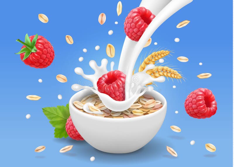 Avena del porridge in ciotola con il lampone Pubblicità del cereale e delle bacche della farina d'avena Prima colazione con l'ave illustrazione di stock Avena del porridge in ciotola con il lampone Pubblicità del cereale e delle bacche della farina d'avena Prima colazione con l'ave illustrazione di stock