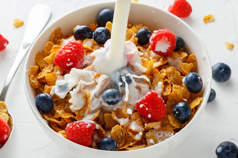 Avenas sanas de la miel del desayuno de la mañana con las frutas frescas de la frambuesa, de arándanos y de la leche de colada en fotos de archivo Avenas sanas de la miel del desayuno de la mañana con las frutas frescas de la frambuesa, de arándanos y de la leche de colada en fotos de archivo