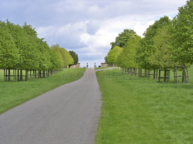 Tree-lined pathway in English country grounds. Tree-lined pathway in English country grounds