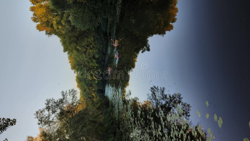 Aventure en kayak d'automne sur un canal pittoresque. vidéo verticale banque de vidéos