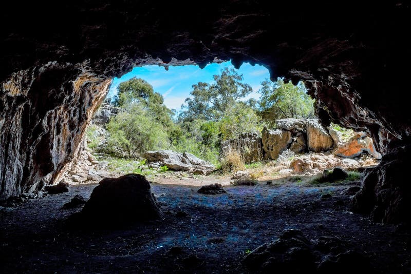 Australian landscape gum trees , cave in the wilderness. Australian landscape gum trees , cave in the wilderness