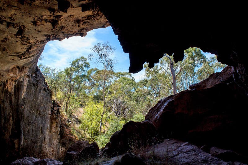 Australian landscape gum trees , cave in the wilderness. Australian landscape gum trees , cave in the wilderness