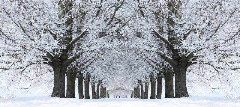 Avenue zdjęcia royalty free