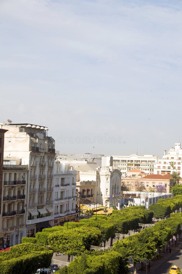 Avenue Habib Bourquiba promenade tree lined street known as The Champs Elysee of Tunis Tunisia Africa. Avenue Habib Bourquiba promenade tree lined street known as The Champs Elysee of Tunis Tunisia Africa