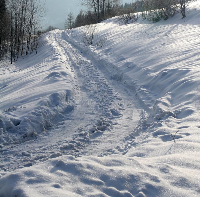 Avenue in the snow