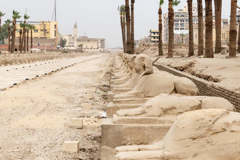 Avenue of Sphinxes in Luxor Temple, Luxor, Egypt Stock Photo Image of