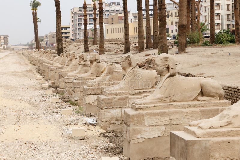 Avenue of Sphinxes in Luxor Temple, Luxor, Egypt Stock Image Image of