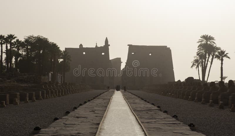 Avenue of sphinxes at Luxor Temple leading to entrance