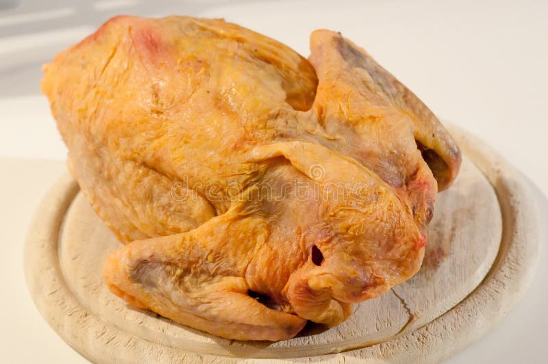 Pollo Desplumado Crudo De Las Aves Aislado Imagen de archivo Imagen