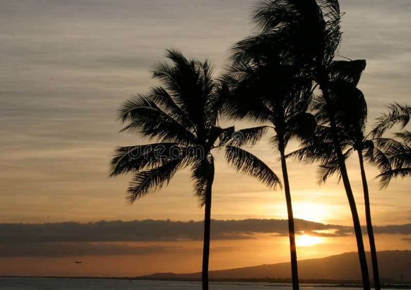 Hawaiian Sunset with a Passenger Jet visible in the distance. Hawaiian Sunset with a Passenger Jet visible in the distance.