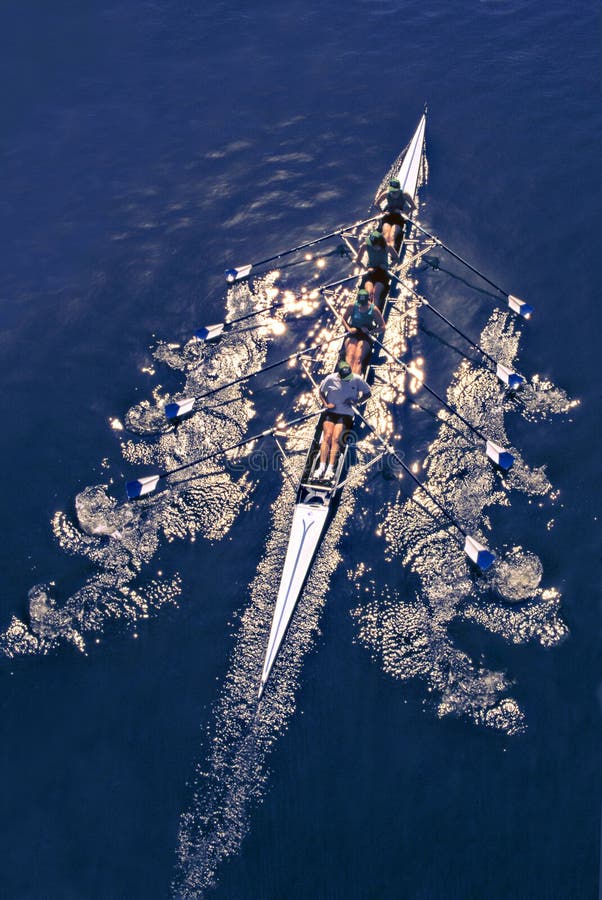 Aviron image libre de droits Aviron image libre de droits