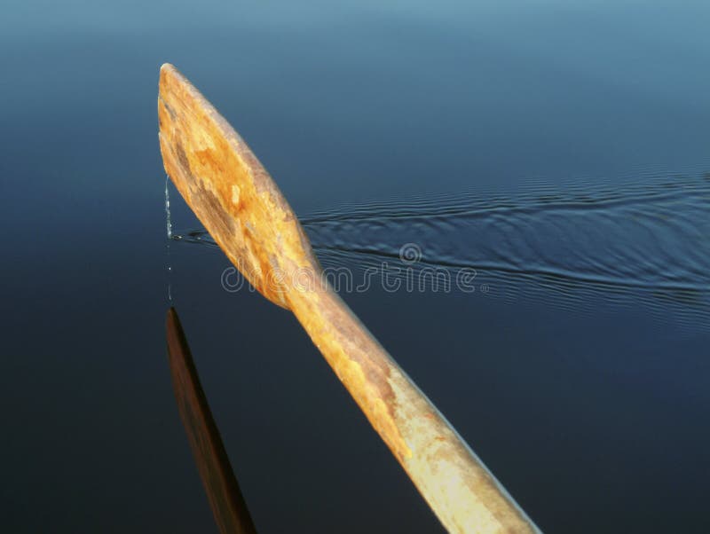 An oar with water drops. An oar with water drops.