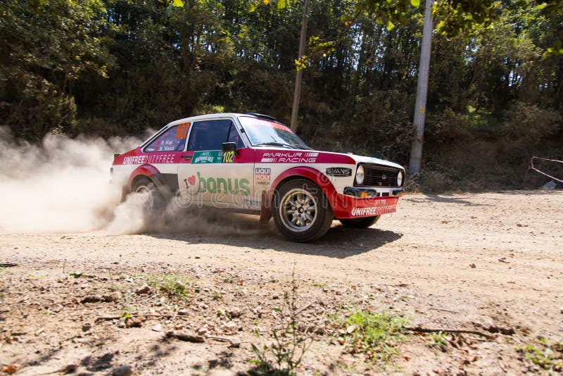 Avis Bosphorus Rally royalty-vrije stock foto