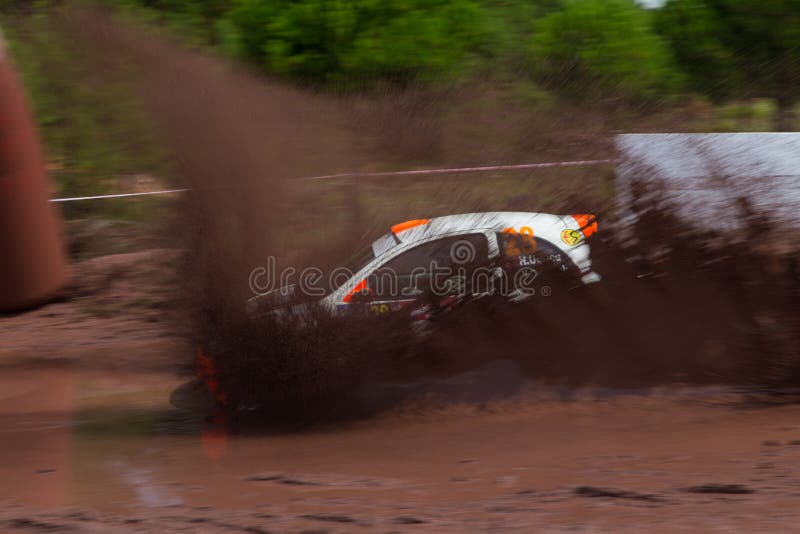 Avis Bosphorus Rally stock foto