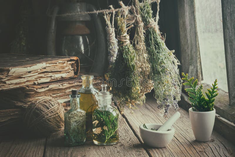 Avkokflaskor, gamla b?cker, mortel och h?ngande grupper av torra medicinska ?rter som behandling f?r perforatum f?r medicin f?r h royaltyfri bild Avkokflaskor, gamla b?cker, mortel och h?ngande grupper av torra medicinska ?rter som behandling f?r perforatum f?r medicin f?r h royaltyfri bild