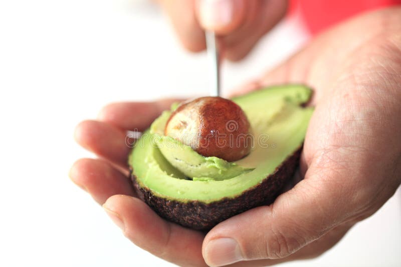 https://thumbs.dreamstime.com/b/avocado-28210814.jpg