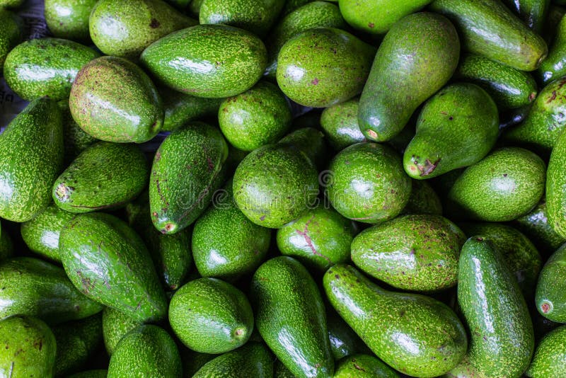 Avocado background. Fresh green avocado on a market stail. Food stock photos Avocado background. Fresh green avocado on a market stail. Food stock photos