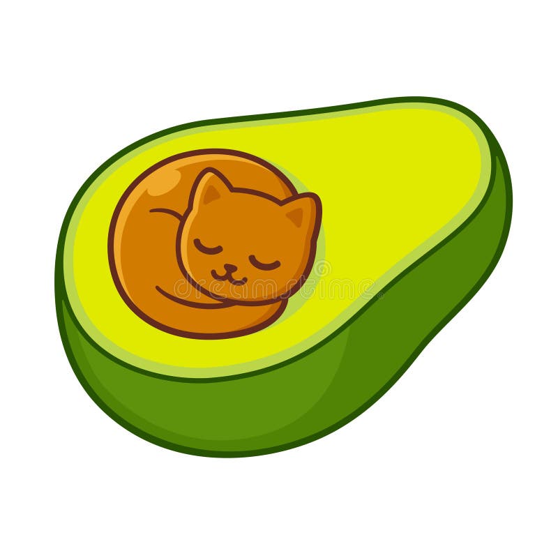 Avocado Cat Cute Cartoon Drawing Stock Vector - Illustration of drawing,  food: 235183452