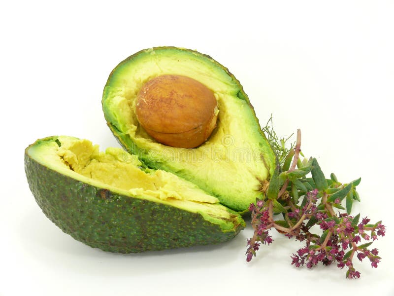 Avocado fruit royalty free stock photo