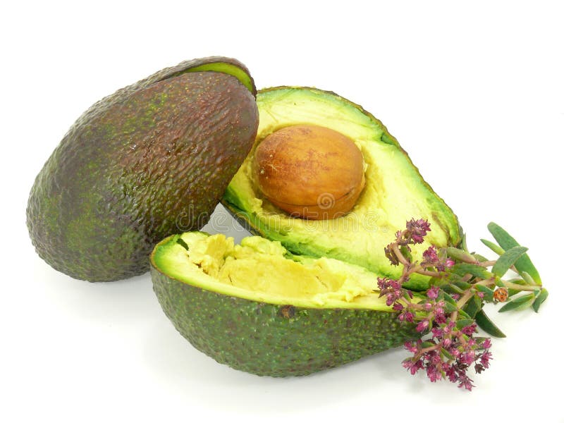 Avocado fruit royalty free stock photography