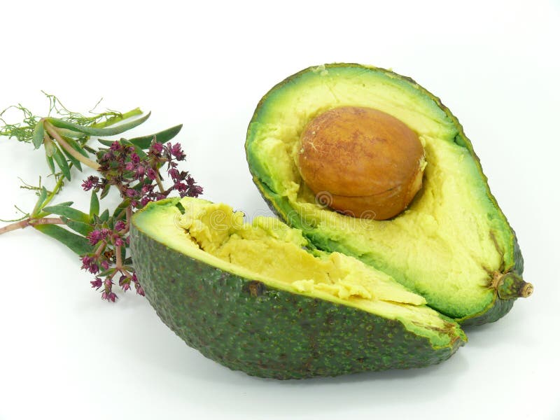 Avocado fruit stock images