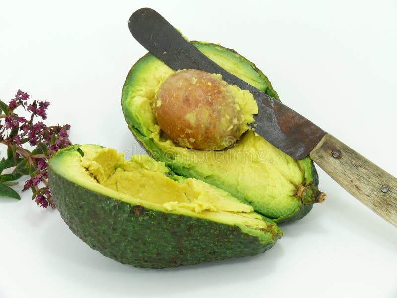 Avocado fruit royalty free stock image