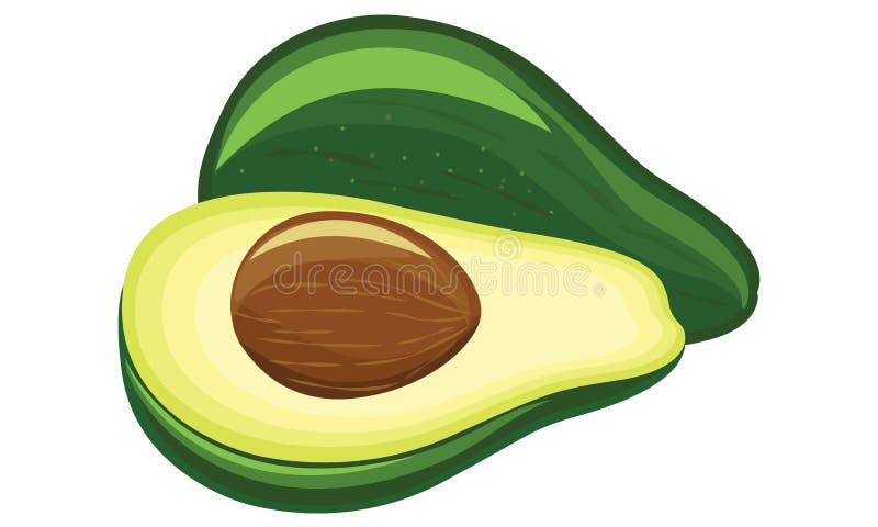 Avocado