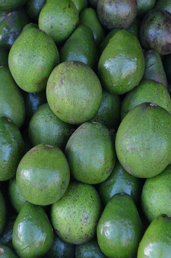 Avocado fruit on Traditional Market