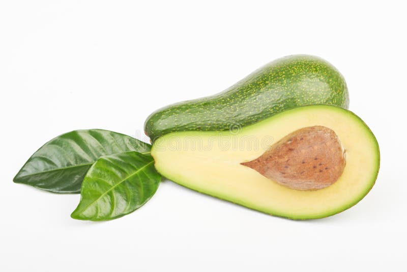Avocado stock photo. Image of slice, fruit, exotic, part 60033626