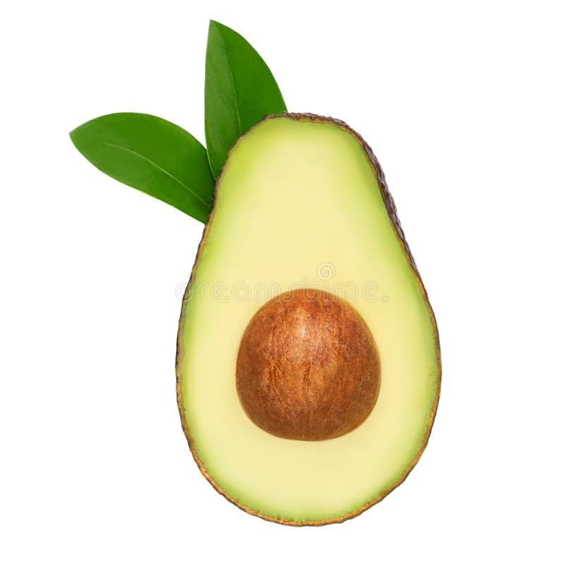 Avocado Isolated. Tropical Funny Avocado with leaves on white background. Creative layout. Flat lay. Fresh Food royalty free stock photos Avocado Isolated. Tropical Funny Avocado with leaves on white background. Creative layout. Flat lay. Fresh Food royalty free stock photos