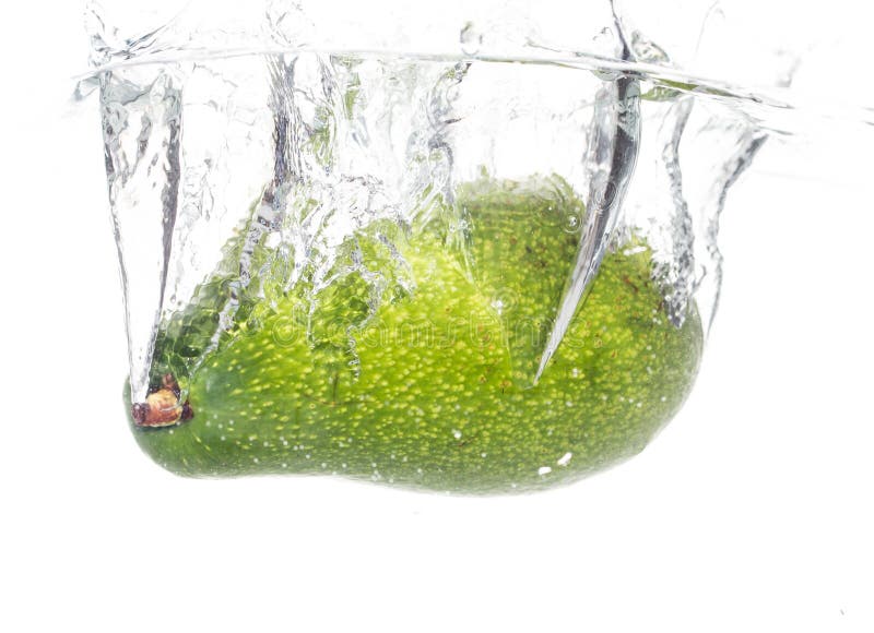 Avocado Under Water on a White Background Stock Photo Image of fruit