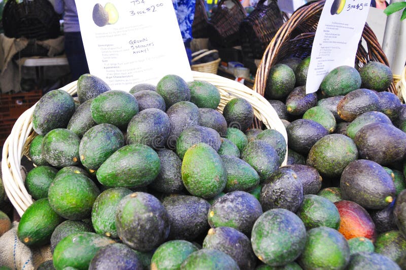 Avocados At An American Farmers Market. Editorial Photo - Image of