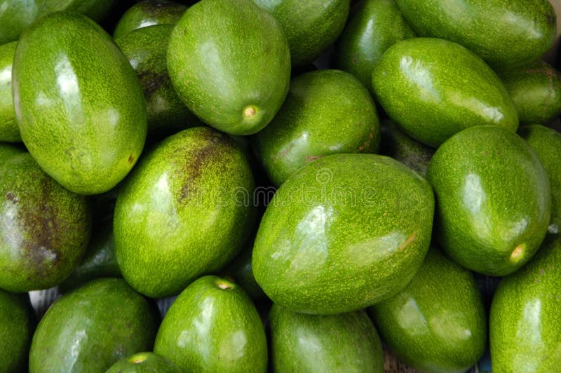 Avocat image stock. Image du nutritif, image, couleur - 7540375